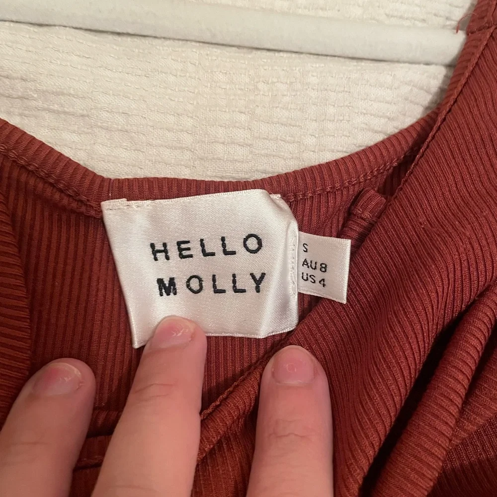 Hello Molly Rust Ribbed Dress - Picture 3 of 4